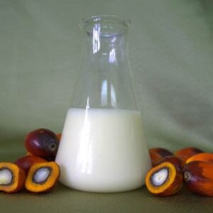 Palm Oil Stearin