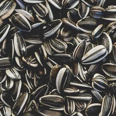 Sunflower Seeds