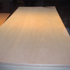 Poplar Plywood