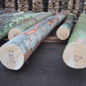 Grade Beech Logs
