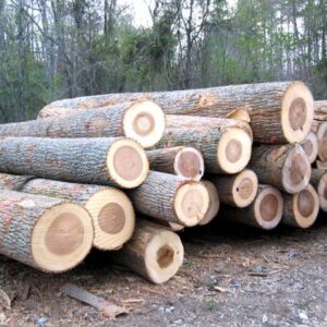 White & Red Oak Logs