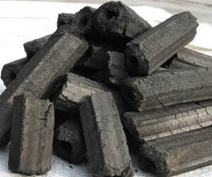 Extruded Charcoal